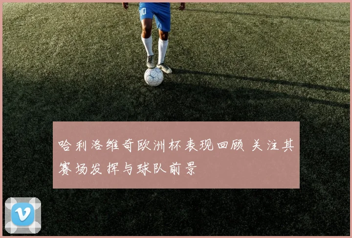 哈利洛维奇欧洲杯表现回顾 关注其赛场发挥与球队前景