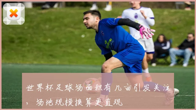世界杯足球场面积有几亩引发关注，场地规模换算更直观