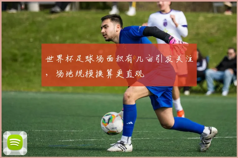 世界杯足球场面积有几亩引发关注,场地规模换算更直观