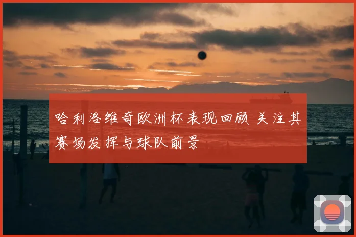 哈利洛维奇欧洲杯表现回顾 关注其赛场发挥与球队前景