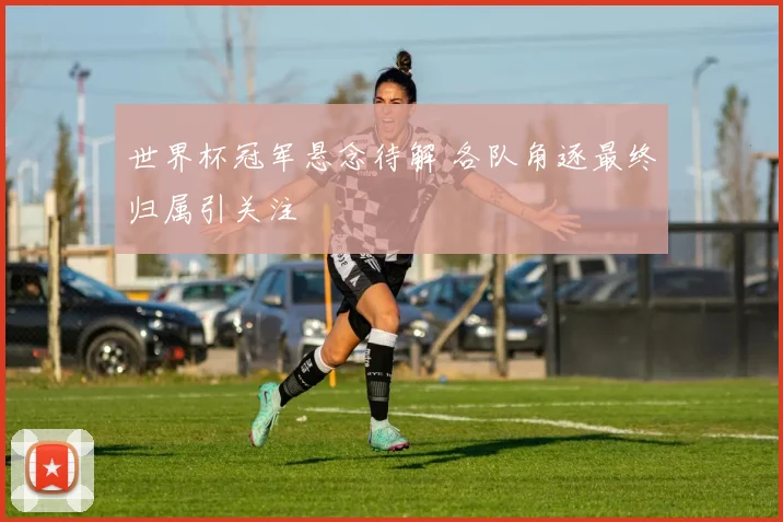 世界杯冠军悬念待解 各队角逐最终归属引关注